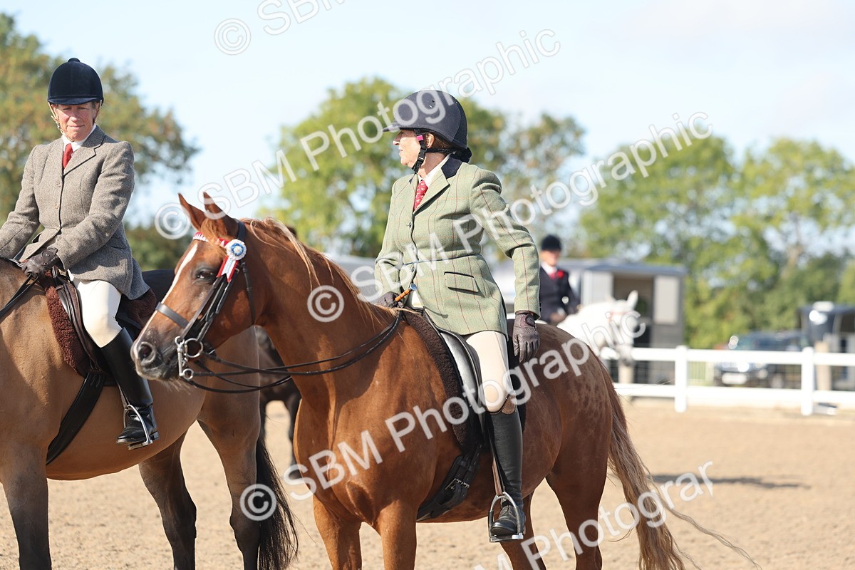 SBM_22333 - Class 803 - Ridden Combination 65+