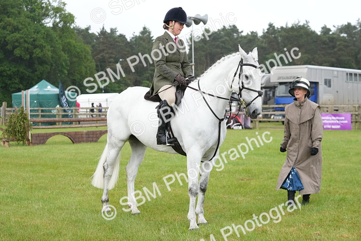 SBM_12676 - Class 97-98 - LIHS BSHA Rising Star Working Show Horse Hunter