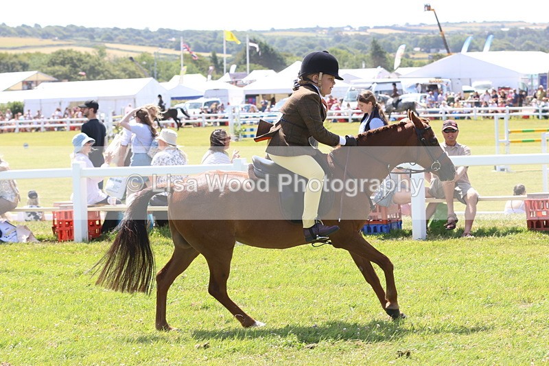 JPP_2358 - Class 20: Tiny Tots Working Hunter Pony