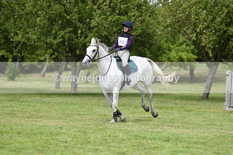 WJ5_3903 - Class 6 80cm