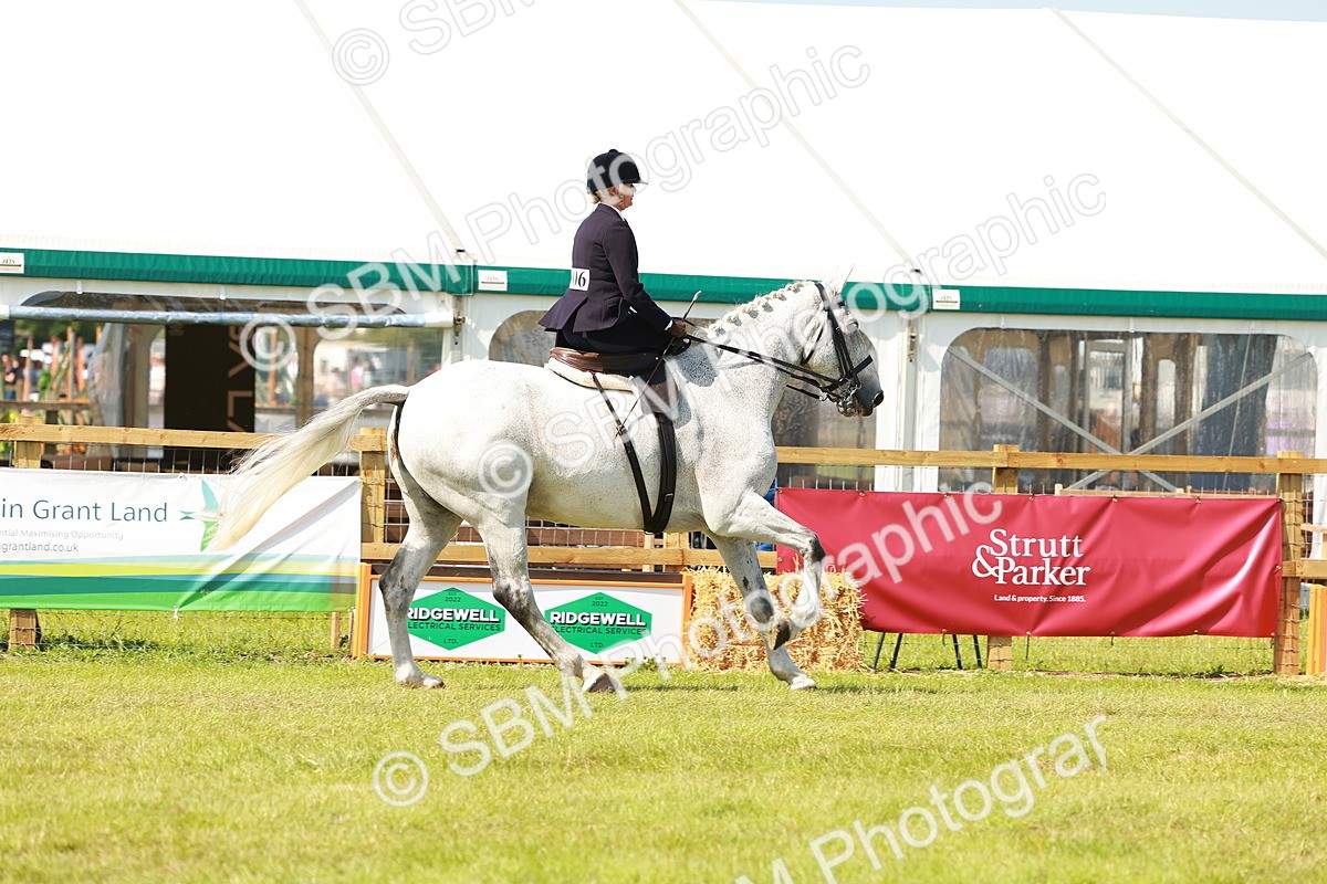 SBM_13206 - Class 70-71 - Side Saddle