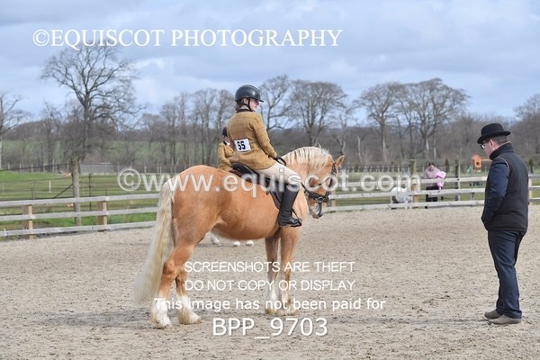 BPP_9703 - RING 2 - M&M