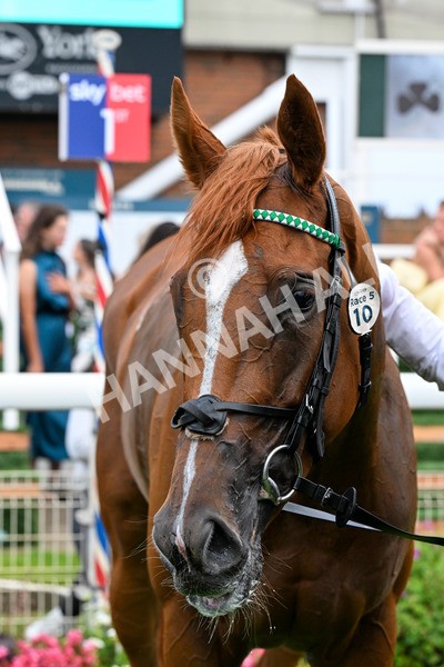 250725-Race 5-Sand Gazelle-0773 - Race 5 7.48pm British EBF Lyric Fillies' Stakes