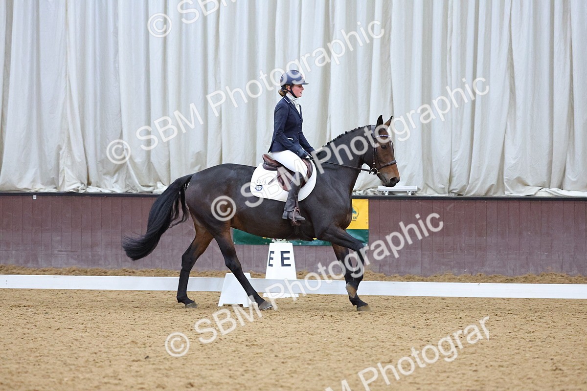 SBM_004230 - Intermediate