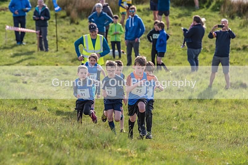 Latterbarrow-23 - Latterbarrow Loop Fell Race Wednesday 25th May 2022