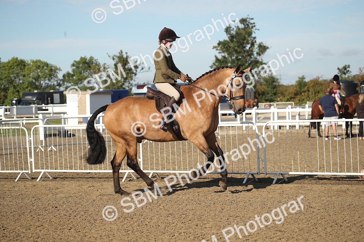 SBM_11301 - Class 501 -Riding Club Pony