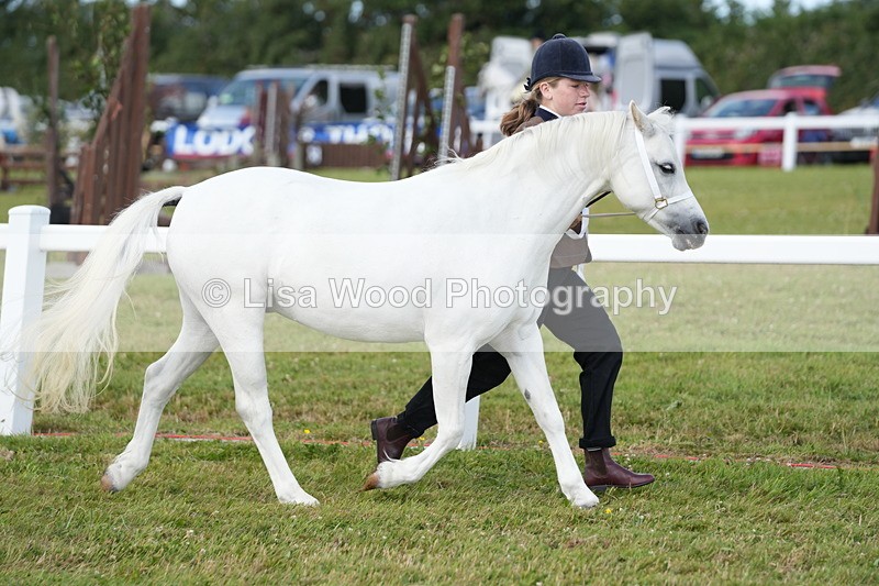 DSC05515 - Class 50: NPS M&M 4 years and over Small Breeds