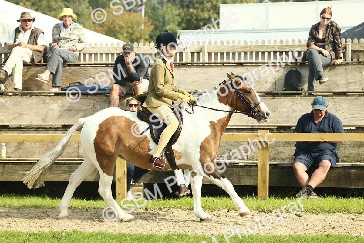 SBM_67667 - S56 - Coloured Pony Ridden