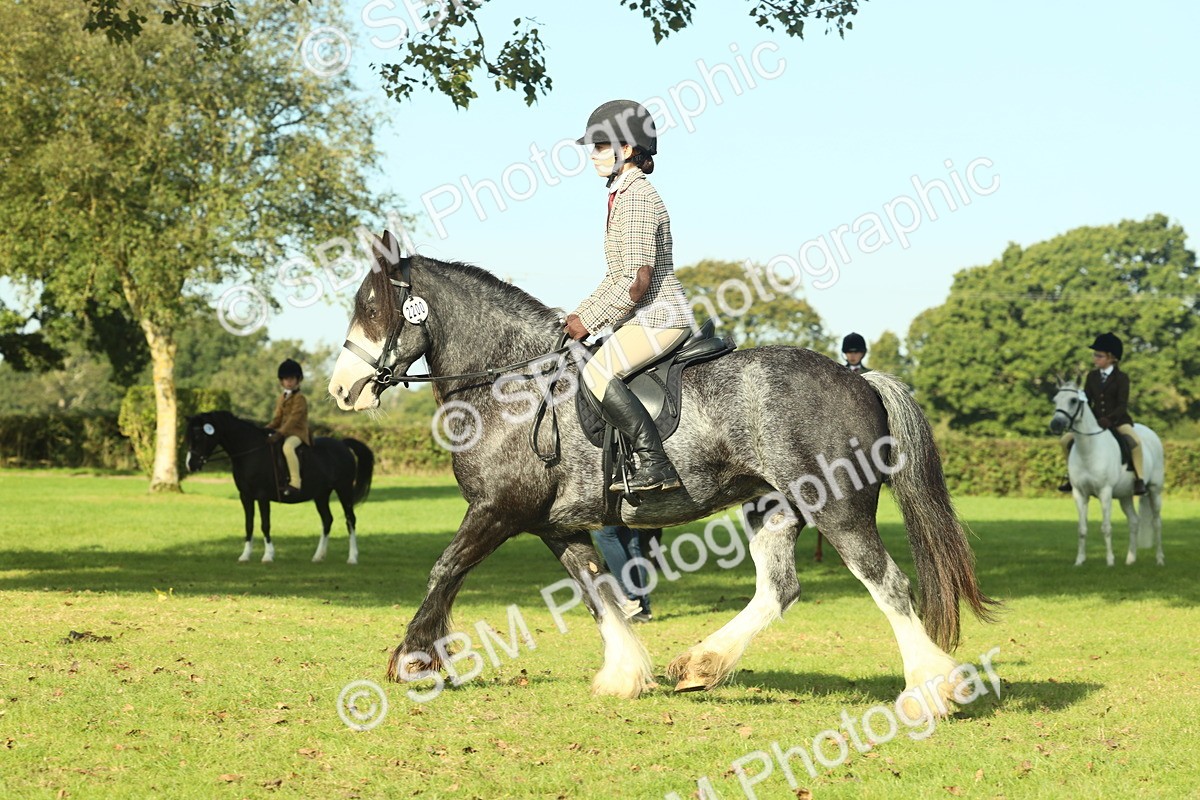 SBM_59231 - S38 - Starters Ridden Showing