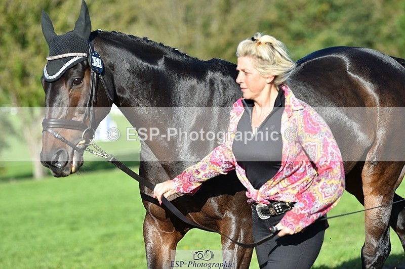 231022-104656-22739 - 464-IMPERIAL.TANGLE-Deborah.Burrell-TrotUp+SJ