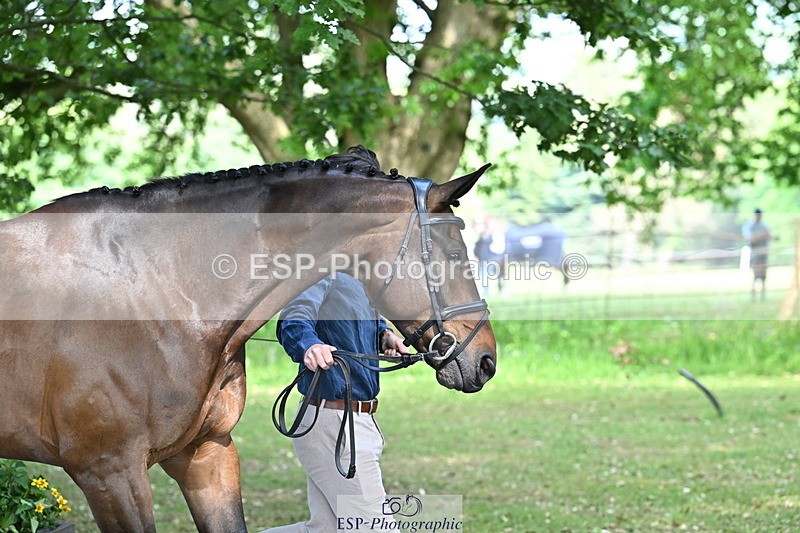250521A-153433-00603 - B-317-Rupert.Batting-COOMBELAND.TALISMAN