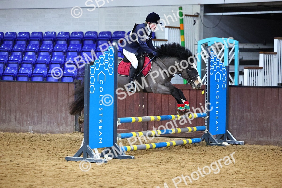 SBM_001268 - Class 3 - Christmas Tree Stakes - 60cm