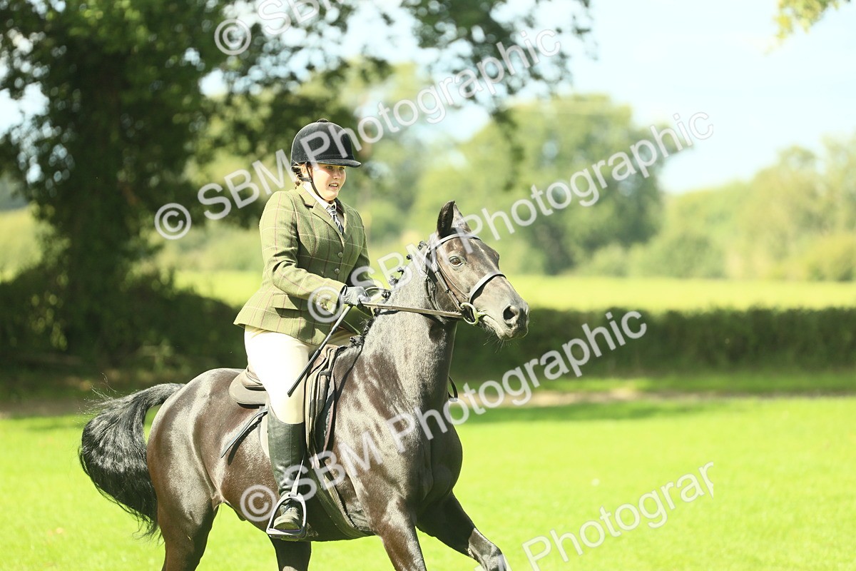 SBM_42067 - S29 - Novice & Newcomers Working Hunter Pony