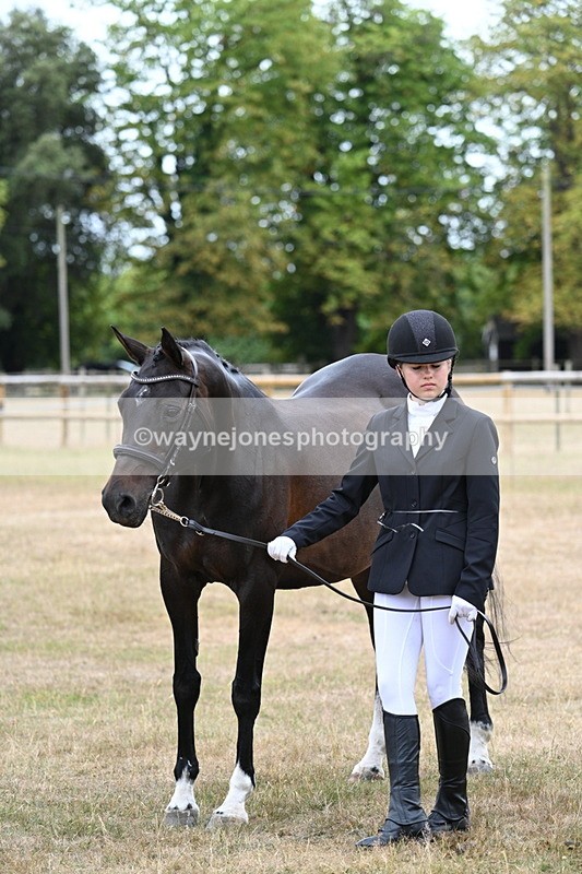WJ7_9162 - Class 4a Prettiest Mare 14.2hh and over