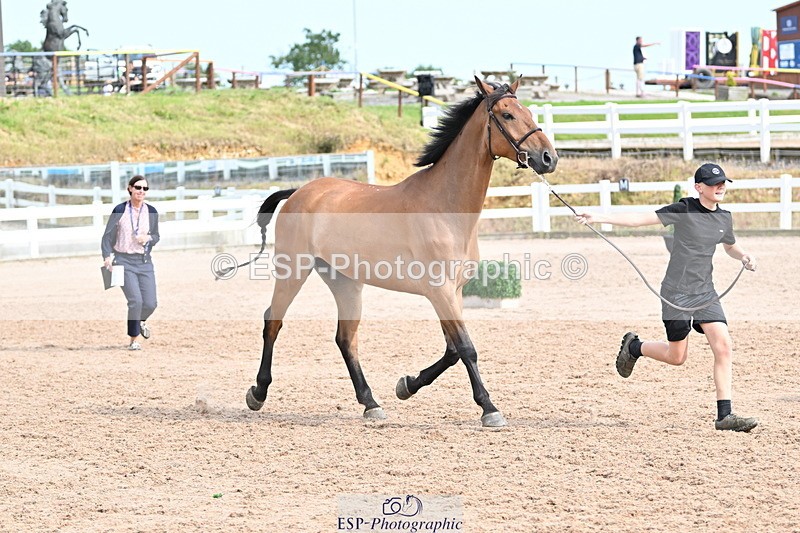 240717A-165748-03572 - Trot Up 4pm to 5pm