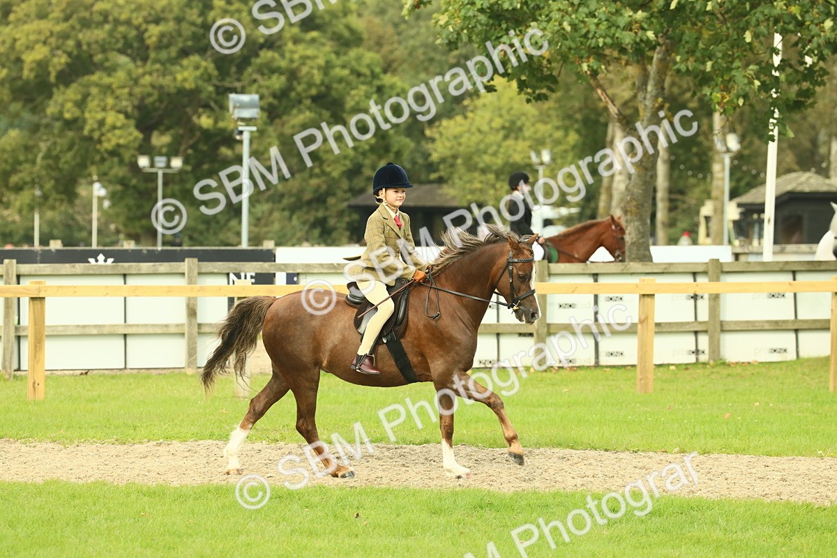 SBM_69892 - S59 - Mountain & Moorland Ridden Small Breeds