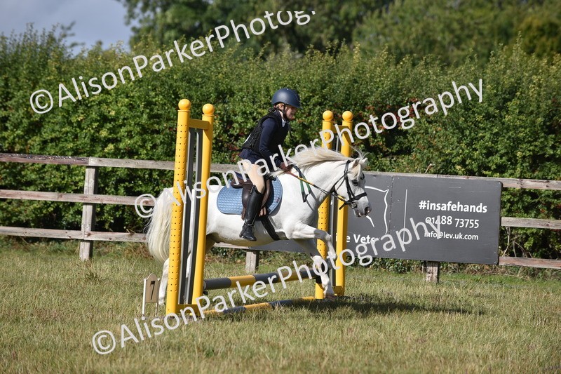 20250831-0418 - Class 7 - Absolute Novice 35cm