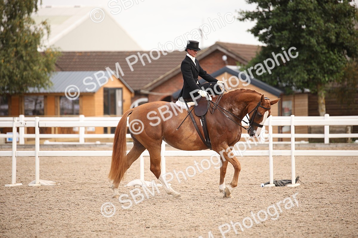 SBM_06653 - Class 23 SSA Classical