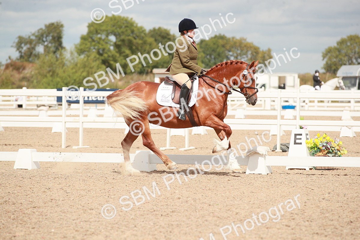 SBM_05860 - Class 32 - Novice 1