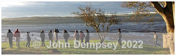 RSPB 1B - Montrose Basin