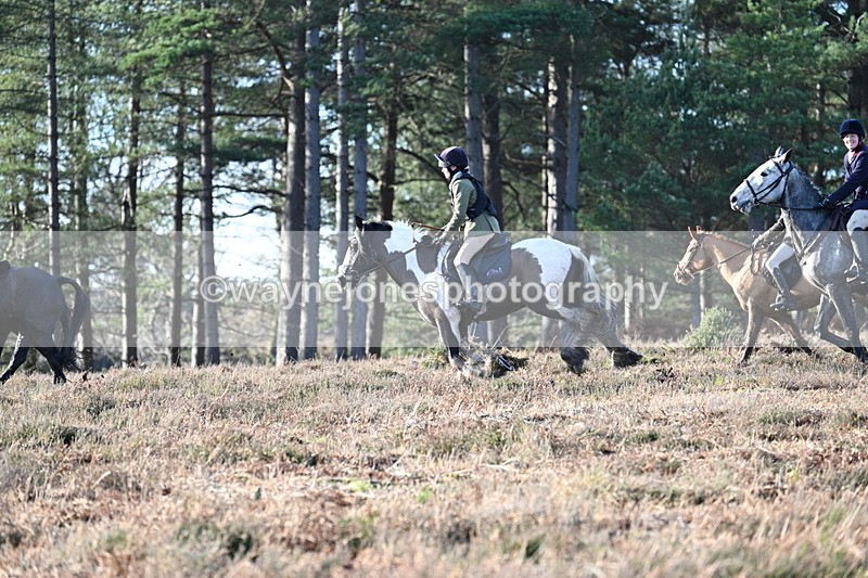 WJ7_7083 - Line 3 (no line 4 or 5)