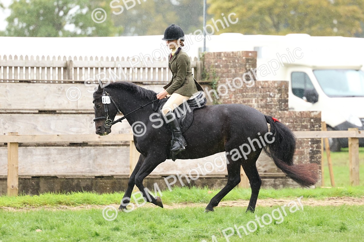SBM_69701 - S62 - Mountain & Moorland Ridden Large Breeds
