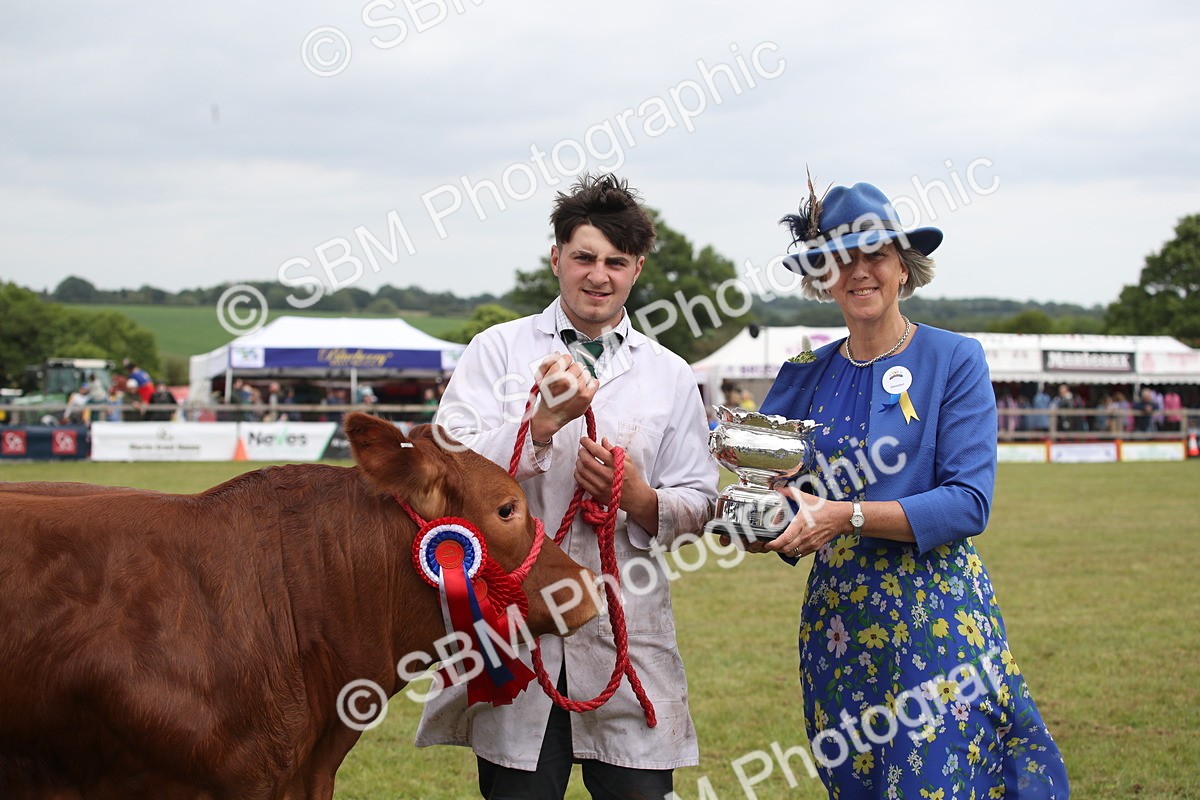 SBM_07935 - Grand Parade