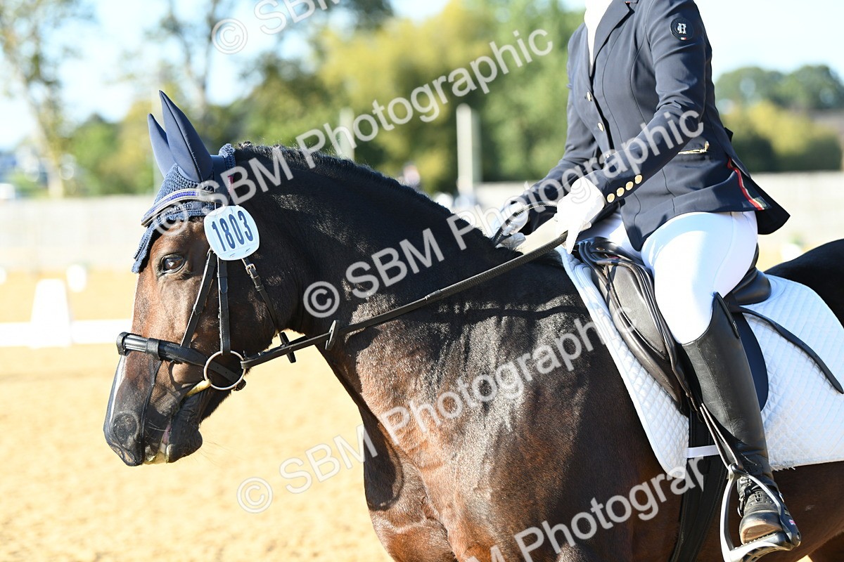 SBM_30775 - D16 - Small Tour Championship - Novice 28