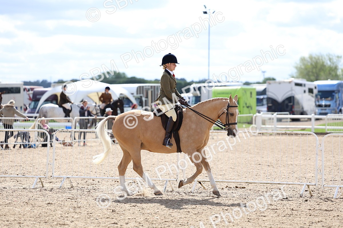 SBM_13277 - Class 311 - Ridden Show Pony Show Hunter Pony