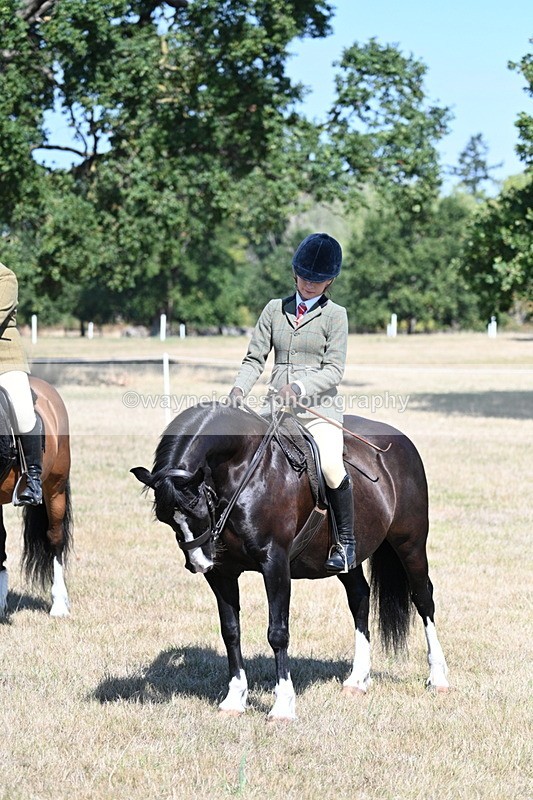 WJ7_4096 - Class 9 Mountain & Moorland Ridden