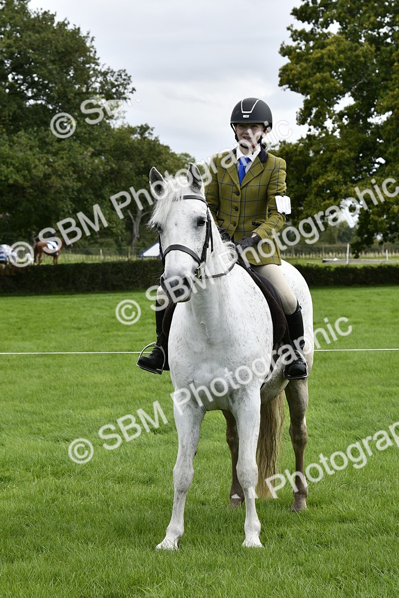 SBM_41629 - S32 - Mountain & Moorland Working Hunter Pony