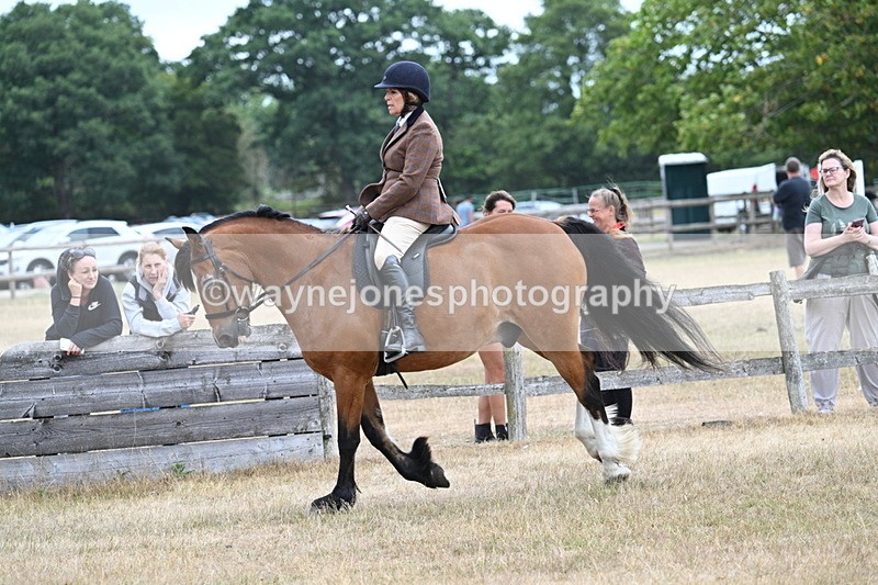 WJ7_0594 - Class 6 Ridden Mountain and Moorland