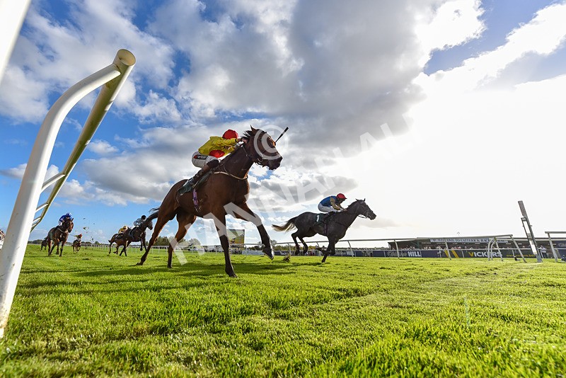 191024-Race 5-Vince Le Prince-8428 - Race 5