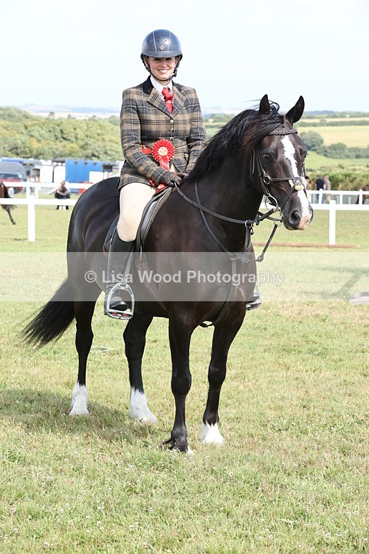 JPP_2446 - Class 19: Working Hunter 60cm