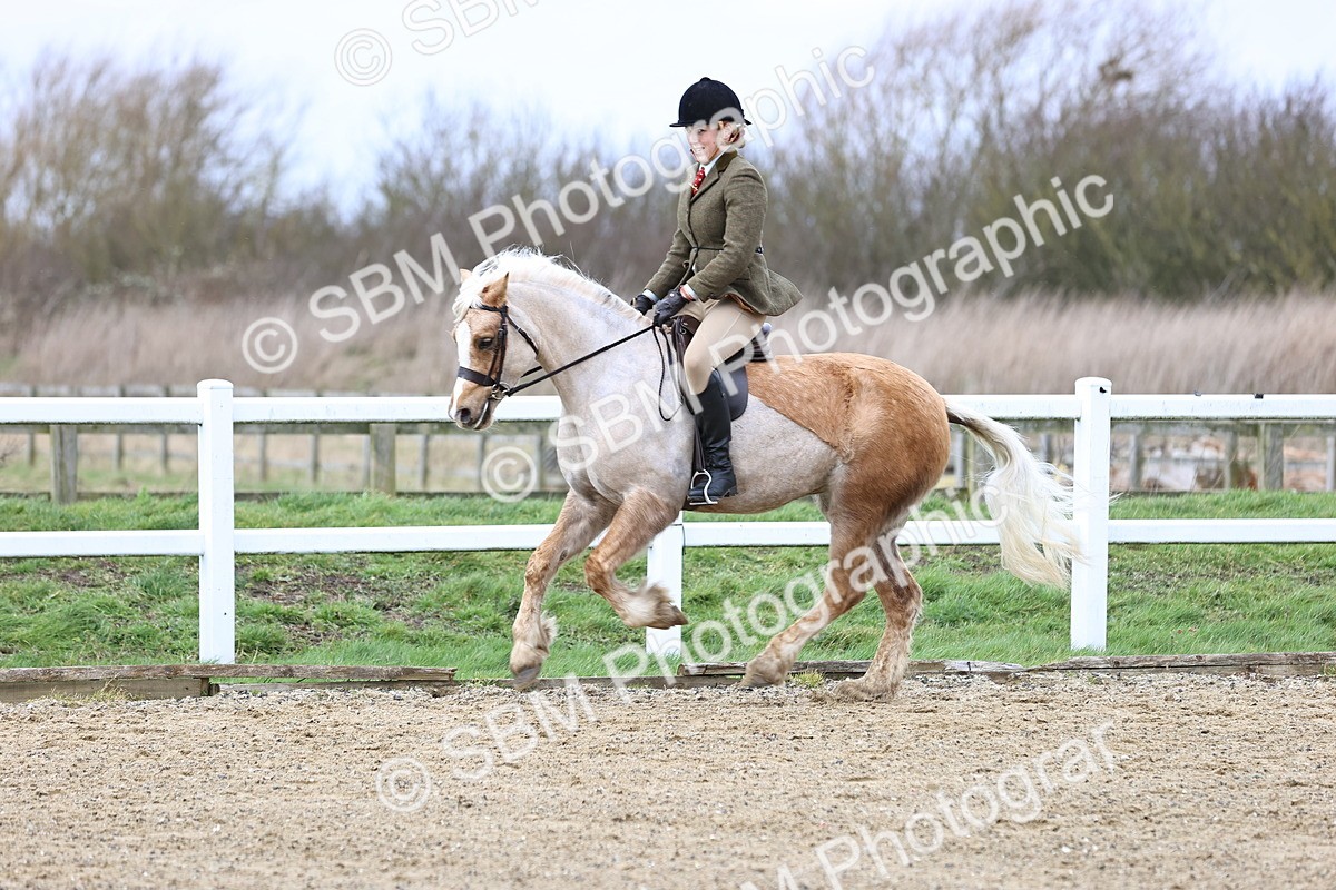 SBM_006931 - Class 29 - 30 - M&M Pure Novice Small-Large Breeds