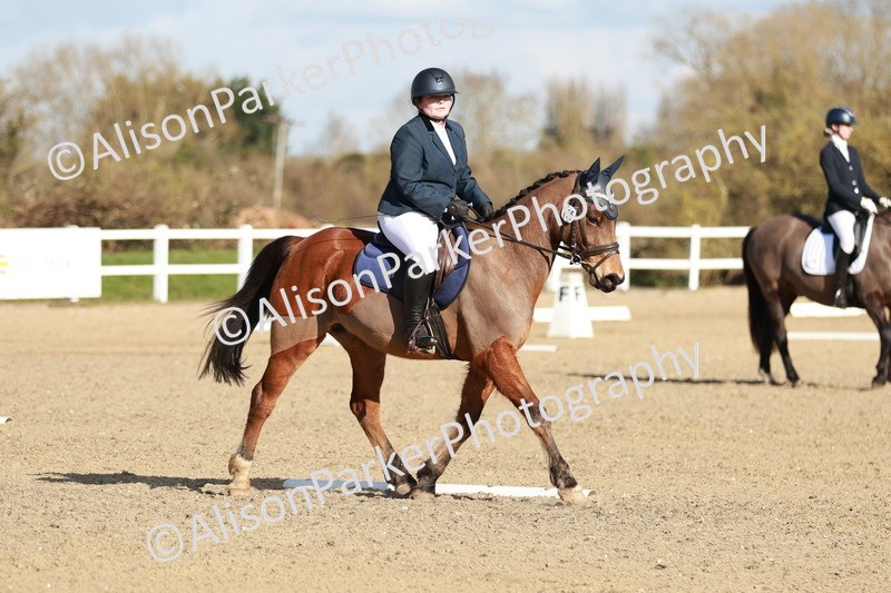 20260314-5323 - DR4 - Prelim 2