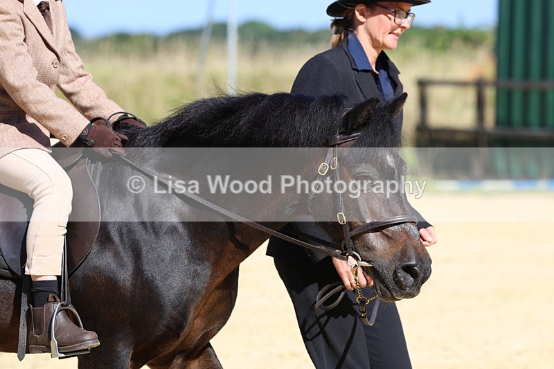 3E7A8071 - Class 15: Lead Rein