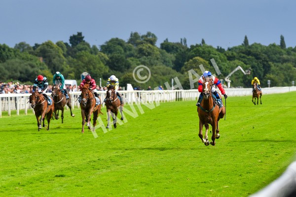 150723-Race 6-Robert Johnson-8812 - Race 6 4.55pm John Smith's Stayers' Handicap