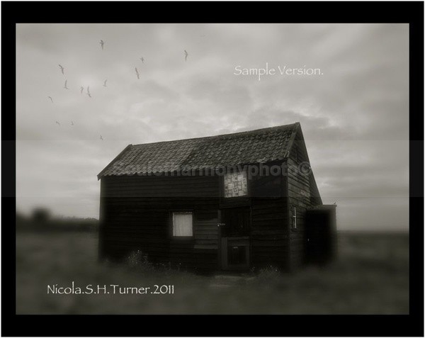 - Surface & Soul
