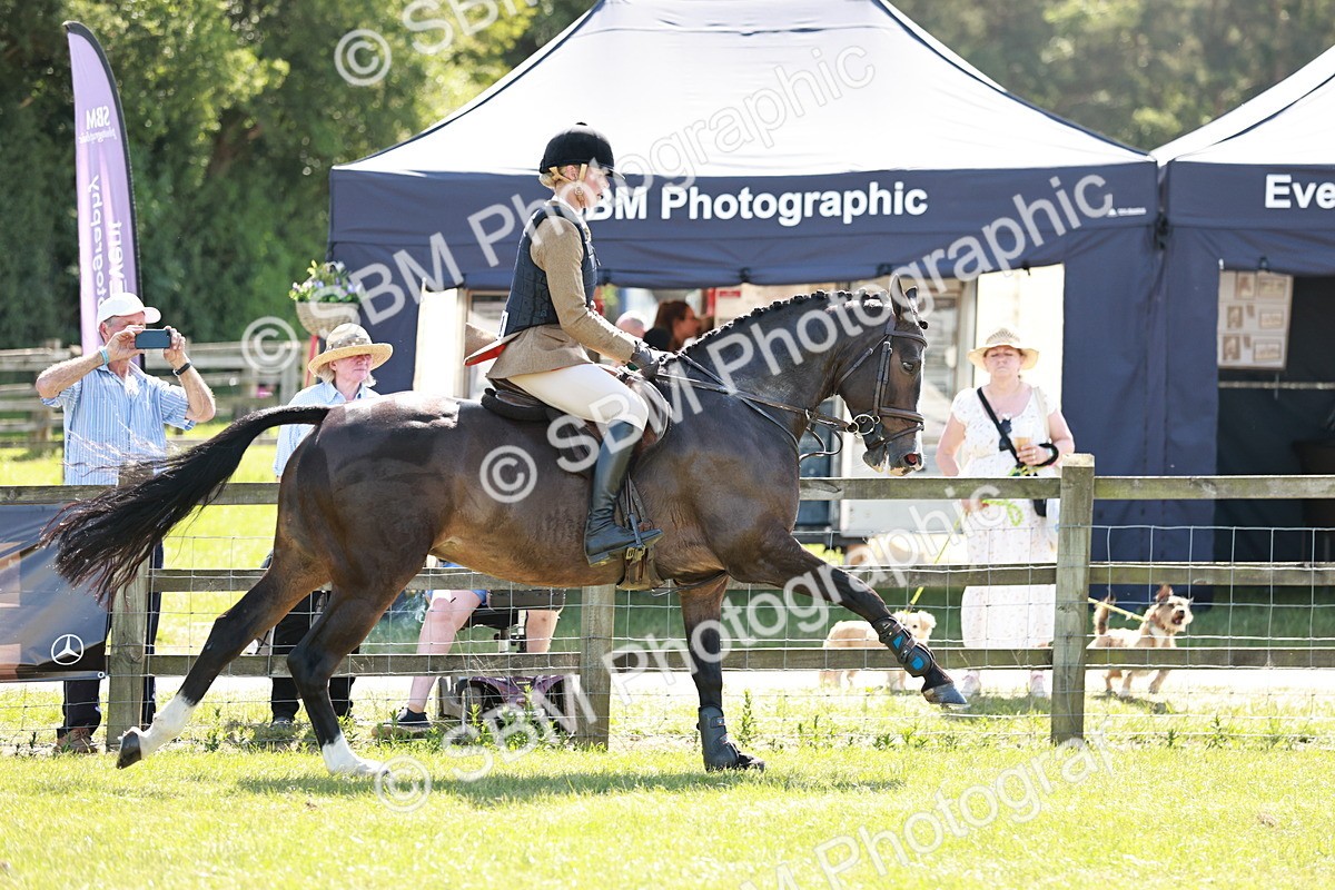 SBM_18409 - Class 112-113 - BSPS LIHS Working Sports Pony