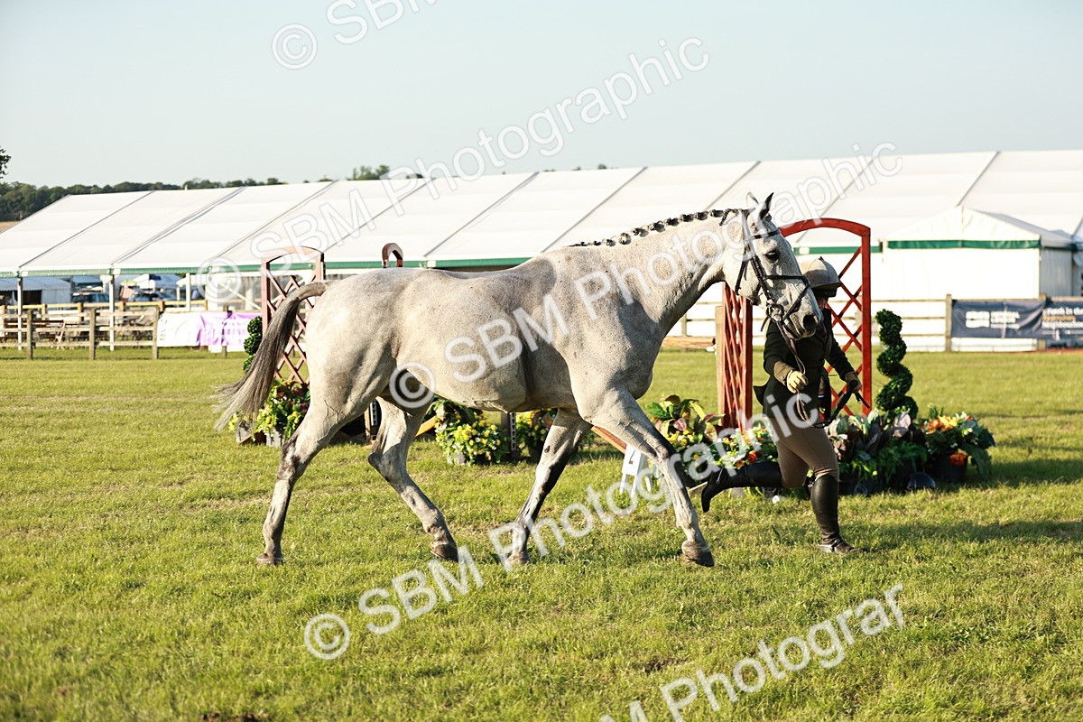 SBM_20560 - Class 117-119 - Sport Horse Working Hunter