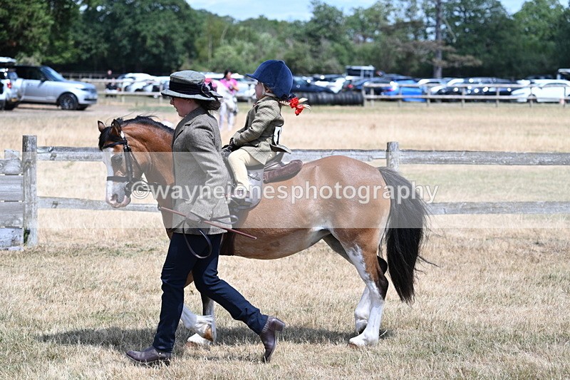 WJ7_2588 - Class 6 Ridden Mountain and Moorland
