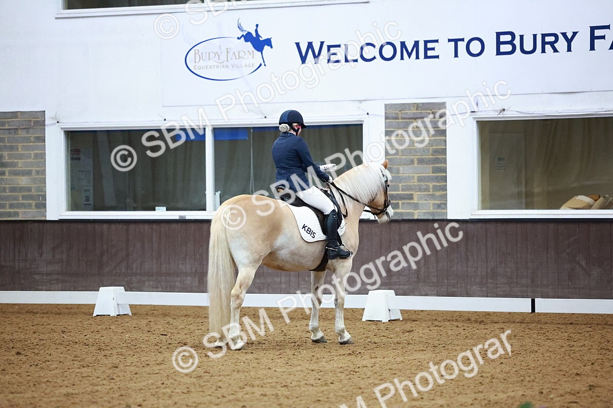 SBM_002909 - Novice Music