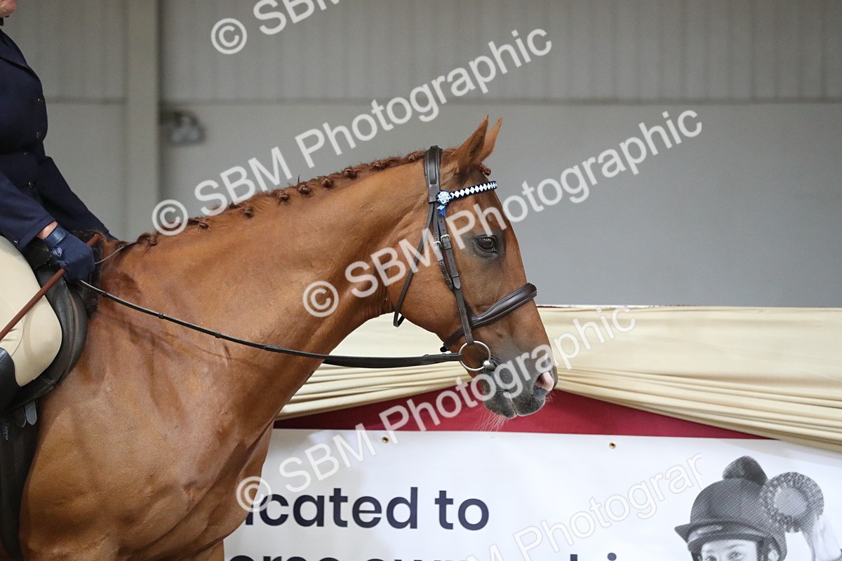 SBM_12292 - Class 108 Ridden Retired Racehorse- Pre Judging