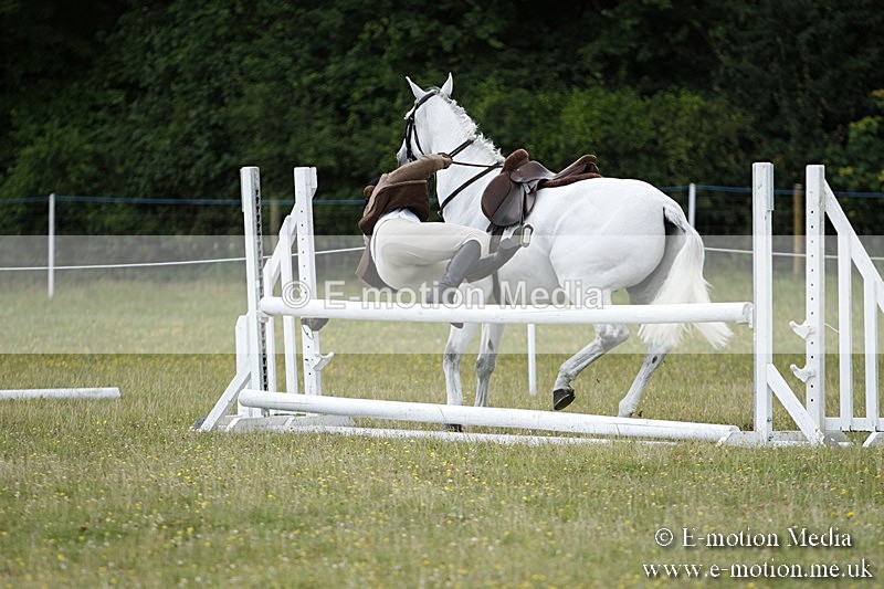 BVR160717-1741 - Ring 3 BVRC Show 16/07/17