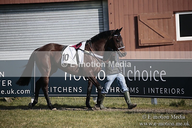 PtP 240218 129 - Vine & Craven Hunt Point-to-Point Barbury racecourse 24/02/18