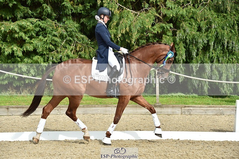 230812-160248-05316 - FEI PSG Bronze Presentations