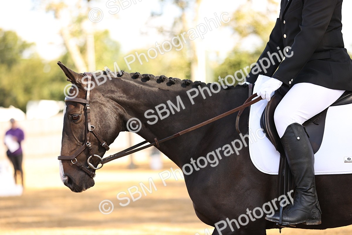 SBM_01469 - D1 - Small Tour Championship