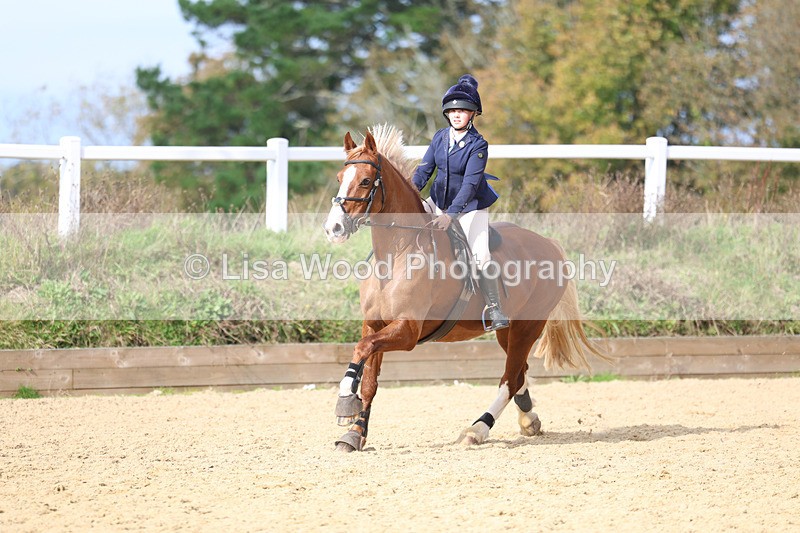 3E7A7431 - Class 3: 60cm open