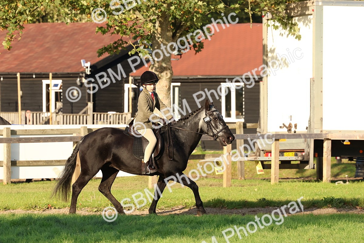 SBM_53070 - S29 - Mature Veteran Ridden